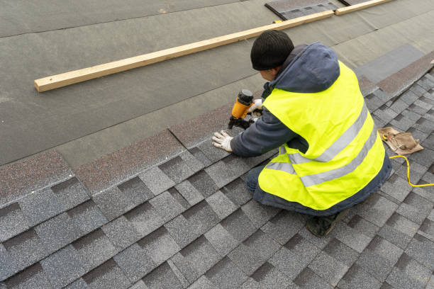 Best Roof Gutter Cleaning  in Fmington, AR