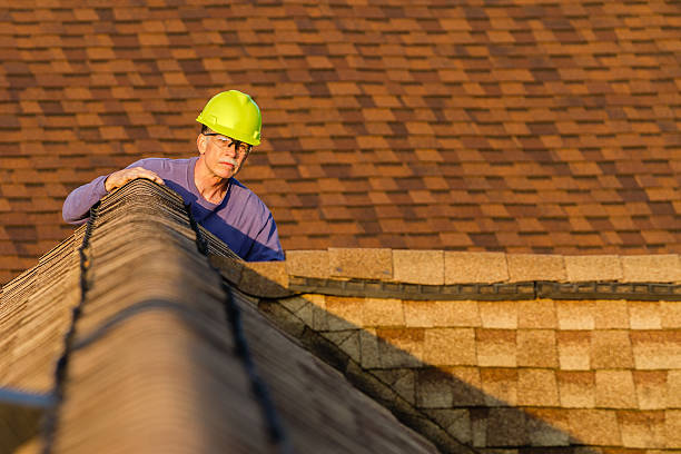 Professional Roofing Contractor in Farmington, AR